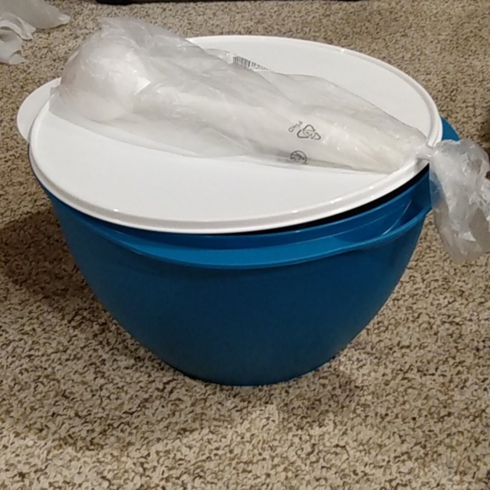 Tupperware Aqua Container